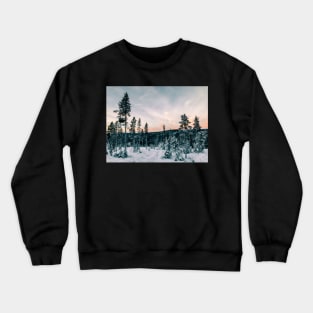 Fir Tree Forest in Warm Evening Light on Cold Winter Day (Norway Crewneck Sweatshirt